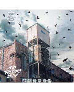 Blackbird Returns