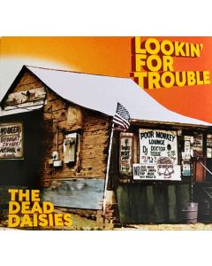 Lookin'  For Trouble