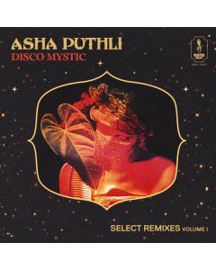 Disco Mystic (Select Remixes Volume 1)