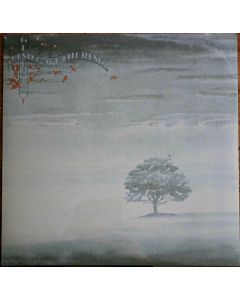 Wind & Wuthering