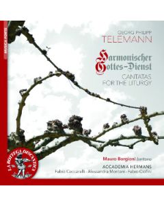 Harmonischer Mottes-Dienst