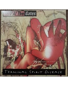 Terminal Spirit Disease