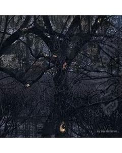 ...By The Shadows...