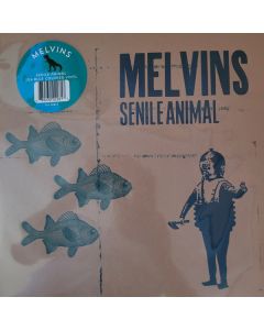 (A) Senile Animal
