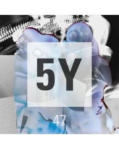 5Y