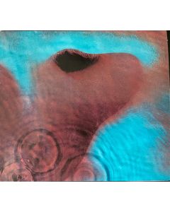 Meddle