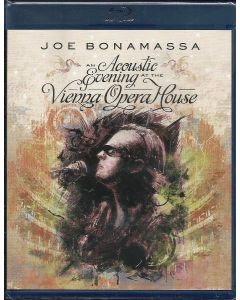 An Acoustic Evening At The Vienna Opera House