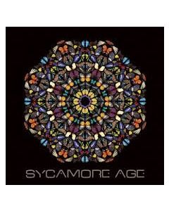 Sycamore Age
