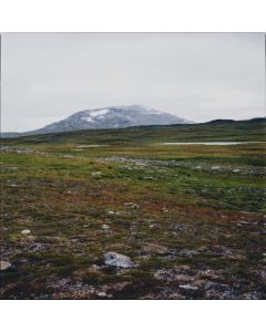 Tundra