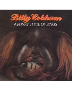 A Funky Thide Of Sings