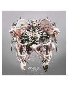 The Weight Of Sound