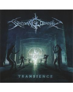 Transience