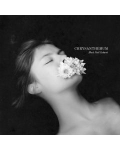 Chrysanthemum