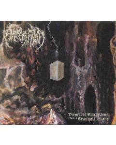 Disgraced Emanations From A Tranquil State
