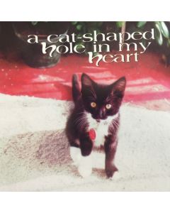 A Cat-Shaped Hole In My Heart