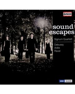 Sound Escapes