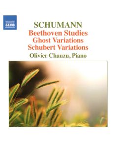 Beethoven Studies