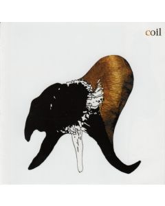 Black Antlers