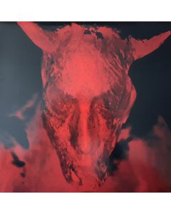 Broken Gargoyles