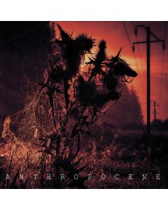 Anthropocene