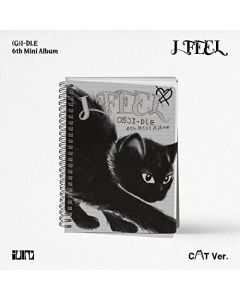 I Feel (Cat Version)