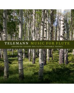 Music for Flute