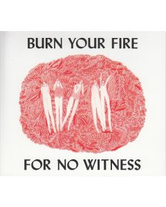 Burn Your Fire For No Witness