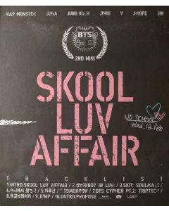 Skool Luv Affair