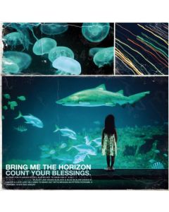 Count Your Blessings