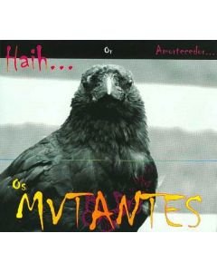 Haih... Ou Amortecedor...