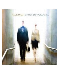Ghost Surveillance