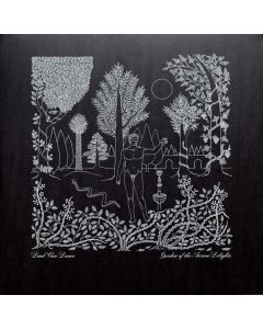 Garden Of The Arcane Delights • John Peel Sessions
