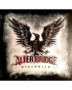 Blackbird