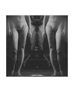 Numeri E Figure
