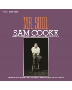 Mr. Soul