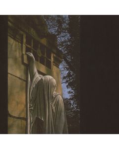 Within The Realm Of A Dying Sun
