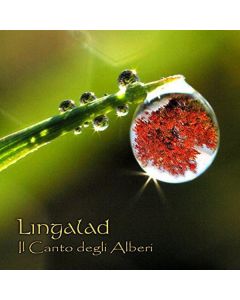 Il Canto Degli Alberi