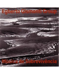 Música De Sobrevivência