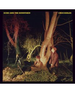 Crocodiles