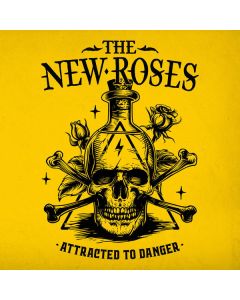 Attracted To Danger