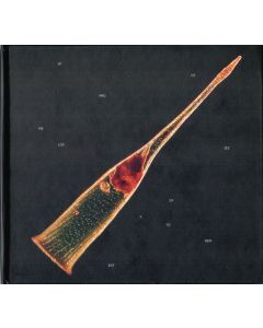 Melodies Of Atonement