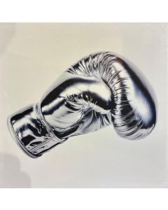 Roll With The Punches (Deluxe Edition)