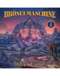 Indian Camel