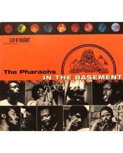 In The Basement