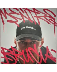 Mentre Los Angeles Brucia