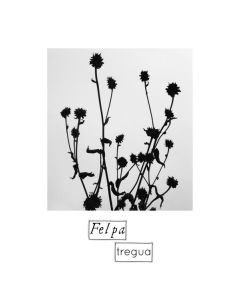Tregua