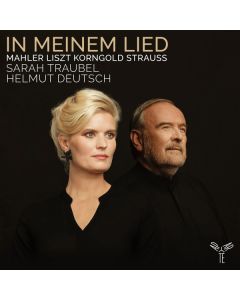 In Meinem Lied