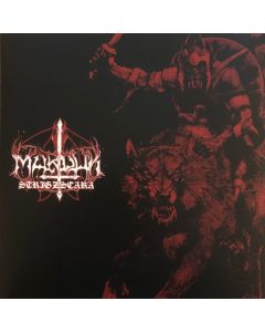 Strigzscara - Warwolf