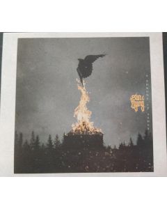 A Throne Of Ashes