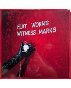 Witness Marks